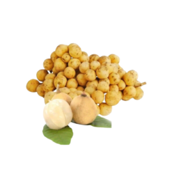 Thai Longan – 500G (I0004511)